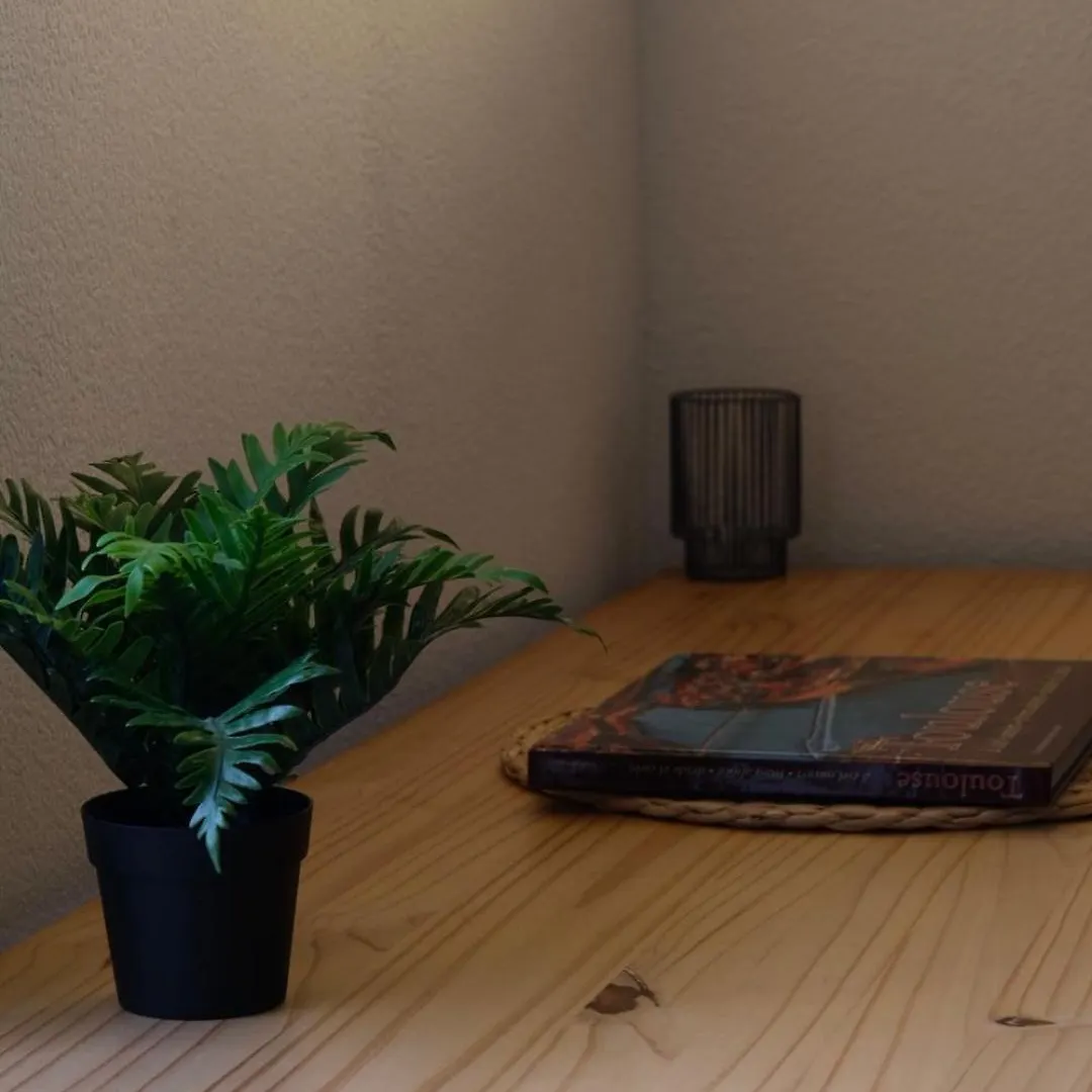 Joli Studio, Esplanade Compans Caffarelli, Wifi Toulouse
